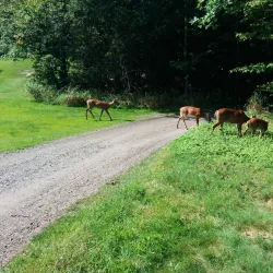 Parry Sound Golf & Country Club - Parry Sound