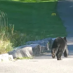 Parry Sound Golf & Country Club - Parry Sound