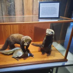 Parry Sound Museum - Parry Sound