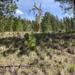 Kettle Valley Rail Trail - Penticton
