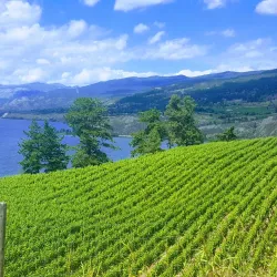 Kettle Valley Rail Trail - Penticton