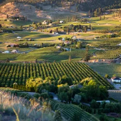 Munson Mountain Regional Park - Penticton