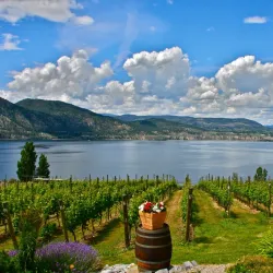 Naramata Bench Wineries - Penticton