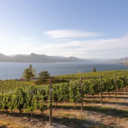 Naramata Bench Wineries - Penticton