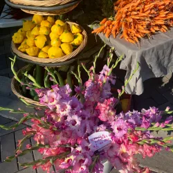 Penticton Farmers' Market - Penticton