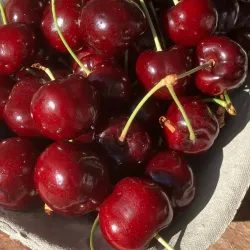 Penticton Farmers' Market - Penticton