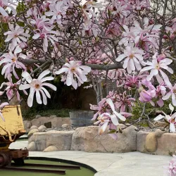 Penticton Museum and Archives - Penticton