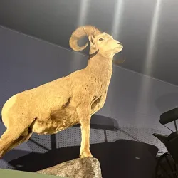 Penticton Museum and Archives - Penticton