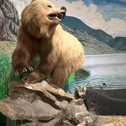 Penticton Museum and Archives - Penticton