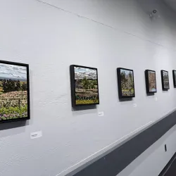 Art Gallery of Peterborough - Peterborough