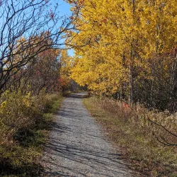 Jackson Creek Trail - Peterborough