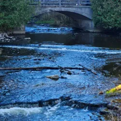 Jackson Creek Trail - Peterborough