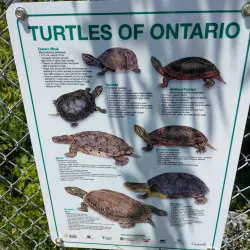 Jackson Creek Trail - Peterborough