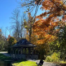 Jackson Park - Peterborough