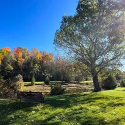 Jackson Park - Peterborough