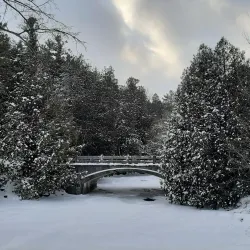 Jackson Park - Peterborough