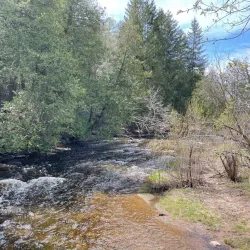 Jackson Park - Peterborough