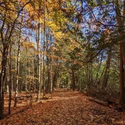 Jackson Park - Peterborough