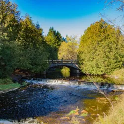 Jackson Park - Peterborough