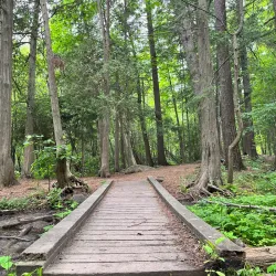 Jackson Park - Peterborough