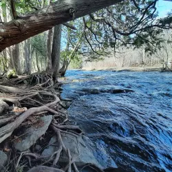 Jackson Park - Peterborough