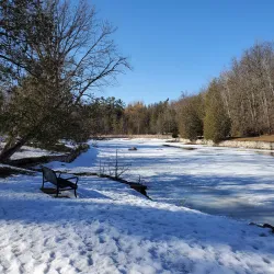 Jackson Park - Peterborough