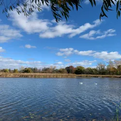 Beachfront Park - Pickering