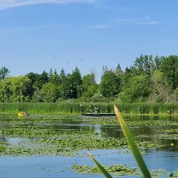 Beachfront Park - Pickering