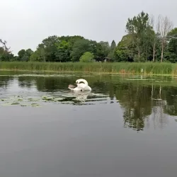Frenchman's Bay - Pickering