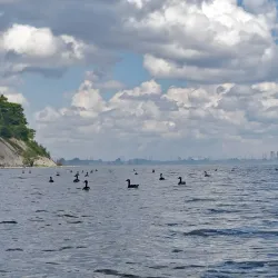 Petticoat Creek Conservation Area - Pickering