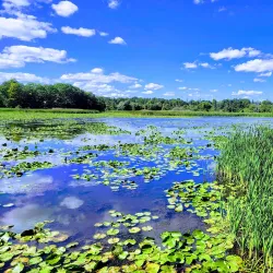 Rouge National Urban Park - Pickering