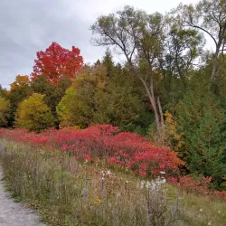 Seaton Trail - Pickering