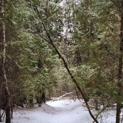 Seaton Trail - Pickering