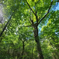 Seaton Trail - Pickering