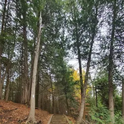 Seaton Trail - Pickering