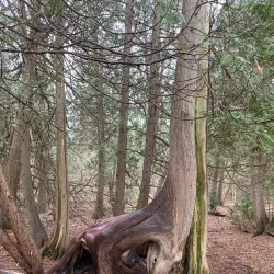 Seaton Trail - Pickering