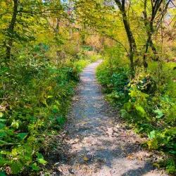 Seaton Trail - Pickering