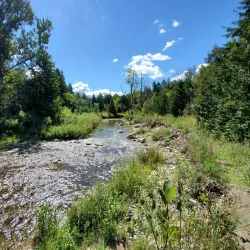 Seaton Trail - Pickering