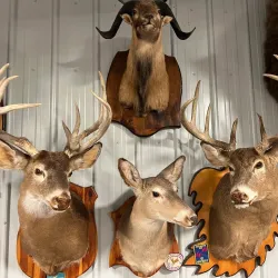 Ameliasburgh Heritage Village - Picton