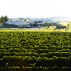 Huff Estates Winery - Picton