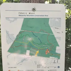 Macaulay Mountain Conservation Area - Picton