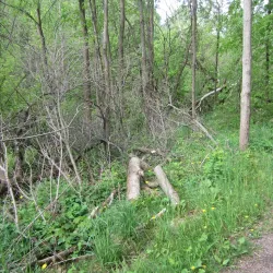 Macaulay Mountain Conservation Area - Picton