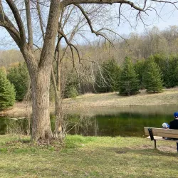 Macaulay Mountain Conservation Area - Picton