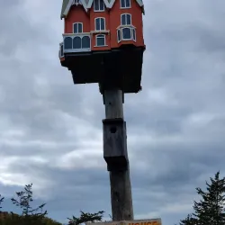 Macaulay Mountain Conservation Area - Picton