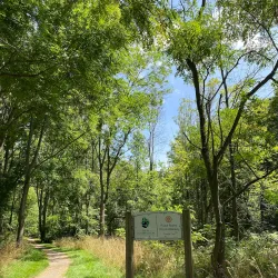 Macaulay Mountain Conservation Area - Picton