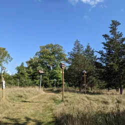 Macaulay Mountain Conservation Area - Picton