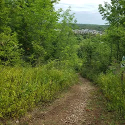 Macaulay Mountain Conservation Area - Picton