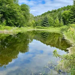 Macaulay Mountain Conservation Area - Picton