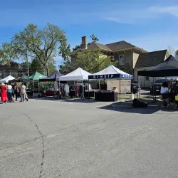 Picton Farmers' Market - Picton