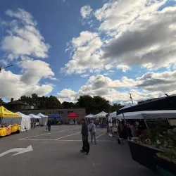 Picton Farmers' Market - Picton